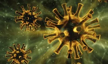 Delta plus varyantı nedir, ne demek? Koronavirüs Delta varyantı ve delta plus varyantı farkları ve özellikleri nelerdir?