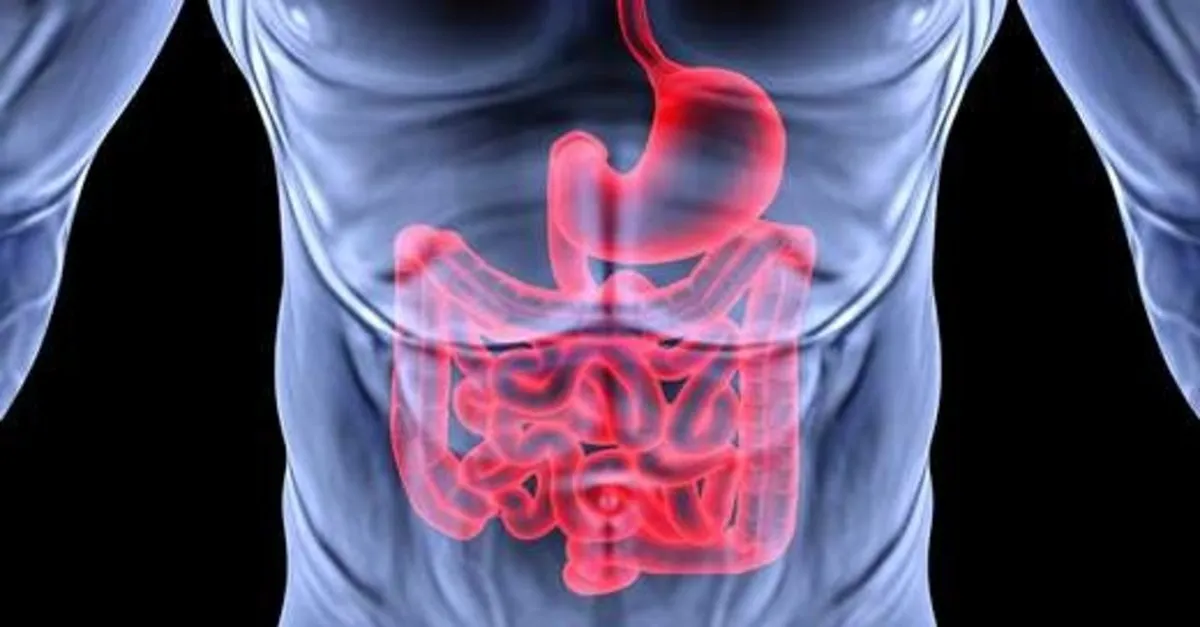 strese bagli mide agrisi neden olur