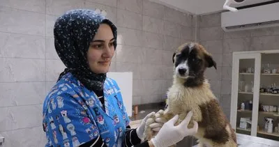Düzce Belediyesi, 35 can dosta yuvasını açtı #bolu Düzce Belediyesi, 35 can dosta yuvasını açtı #bolu