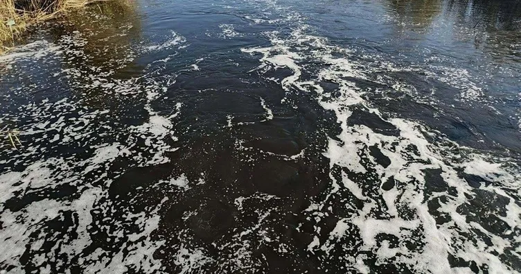 Menderes Nehri’nde atık su rezaleti