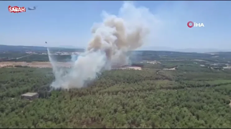 İzmir Buca’da orman yangını çıktı | Video
