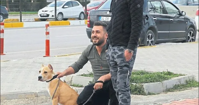 Plajda Pitbull dehşeti