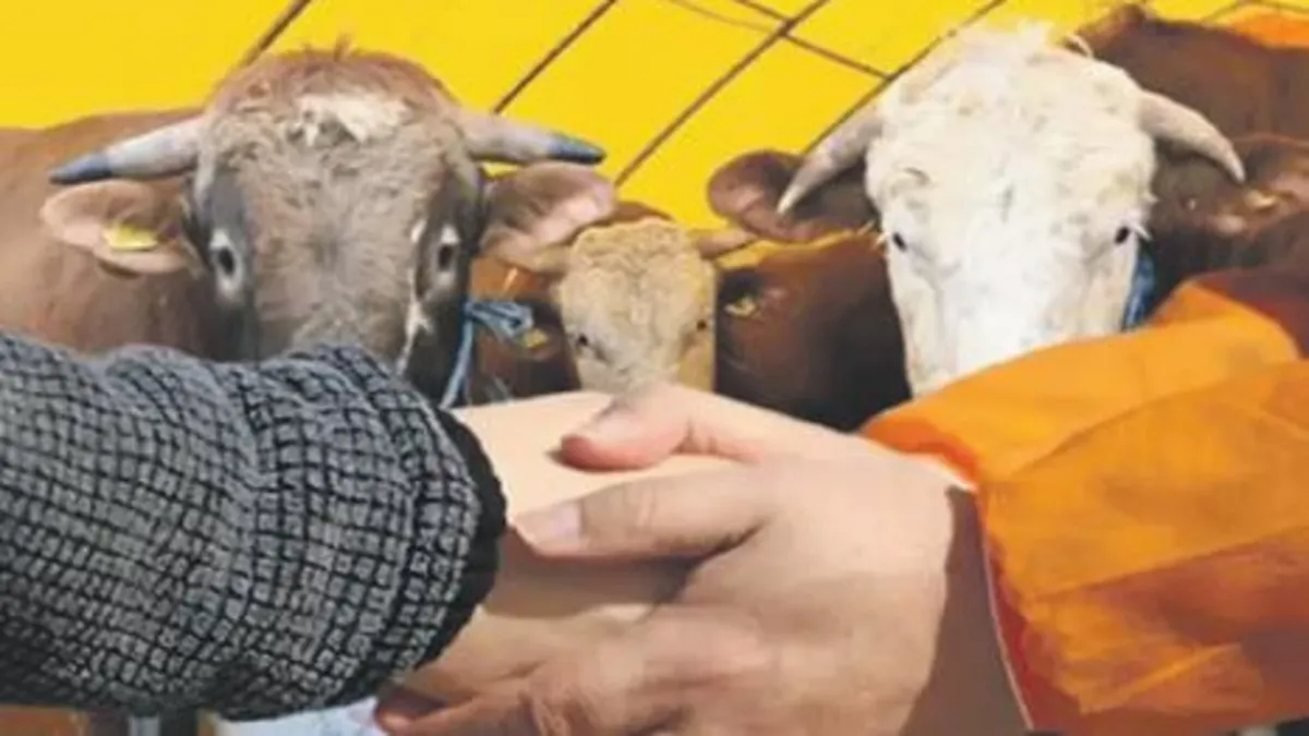 Kurban Harcamaları 192 Milyarı Bulacak