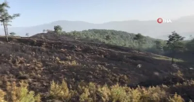 Çanakkale’deki orman yangını 18 saat sonra kontrol altına alındı