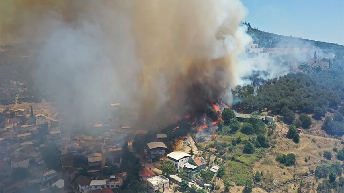 Bursa'da ormana girişler, ekim ayına kadar yasaklandı