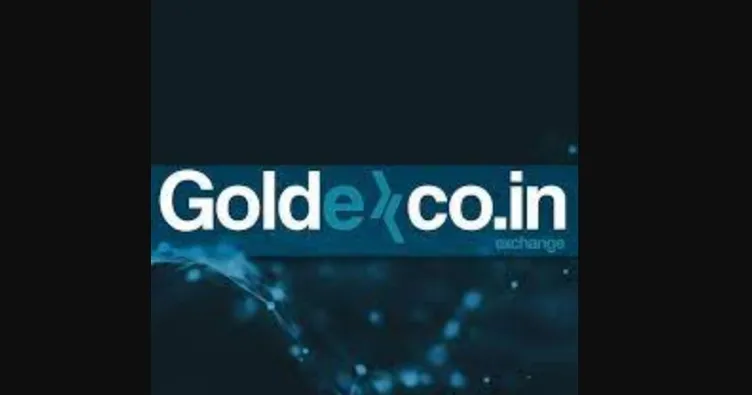 THODEX ve Vebitcoin’in ardından bir şok daha! Kripto para için alım satım durdu