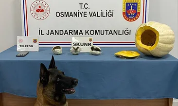 Bal kabağında uyuşturucu çıktı