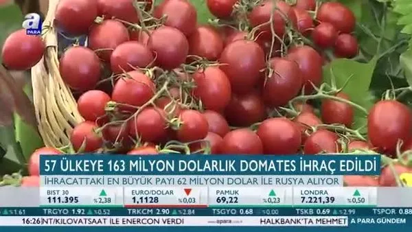 Türkiye dünyaya domates ihraç ediyor