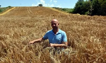 Edirne’de verimi yüzde 30 artan arpa çiftçinin yüzünü güldürdü