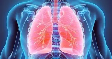 Akciğer Kanseri belirtileri nelerdir? Akciğer Kanseri neden olur, nasıl teşhis konulur, belirtisi nedir?