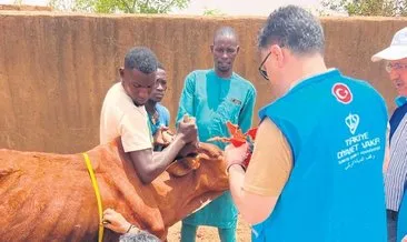 Diyanet, Nijer’de kurban eti dağıtacak