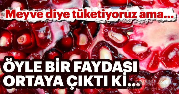 Meyve diye tüketiyoruz ama... Öyle bir faydası ortaya çıktı ki...