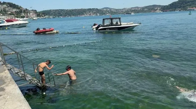İstanbul Bebek Sahili’nde dehşete düşüren görüntü! Kıyıya vurduğunu görenler neye uğradığını şaşırdı: Boyu 1,5 metre!