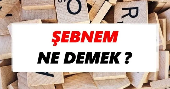 Şebnem Ne Demek? TDK’ya Göre Şebnem Sözlük Anlamı Nedir?