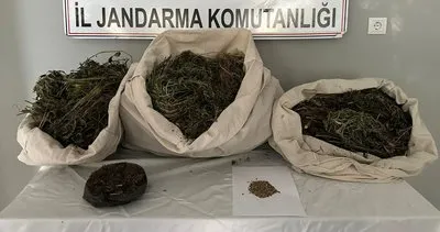 Mardin’de 1 ayda 70 kilogram uyuşturucu madde 148 kök kenevir bitkisi ele geçirildi