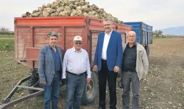 Karacabey’de şeker pancarı bereketi