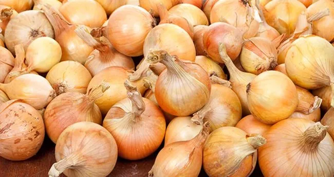 soganin faydalari nelerdir kuru yesil sogan ve sogan kurunun mucizevi faydalari saglik haberleri