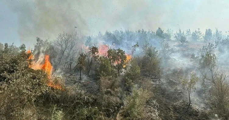 Şırnak’ta ormanlık alanda çıkan yangın söndürüldü