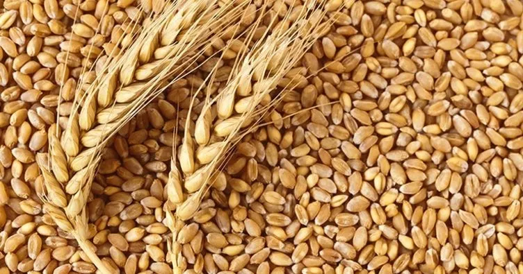 Yıldız Holding Yönetim Kurulu Başkanı Ali Ülker: Bisküvilik buğday ihraç edeceğiz