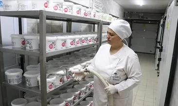 Devlet desteğiyle kurulan tesiste Anadolu mandasının sütü katma değer kazanıyor