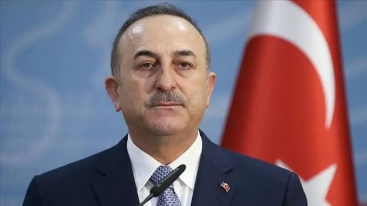 Dışişleri Bakanı Mevlüt Çavuşoğlu konuşma yaparken