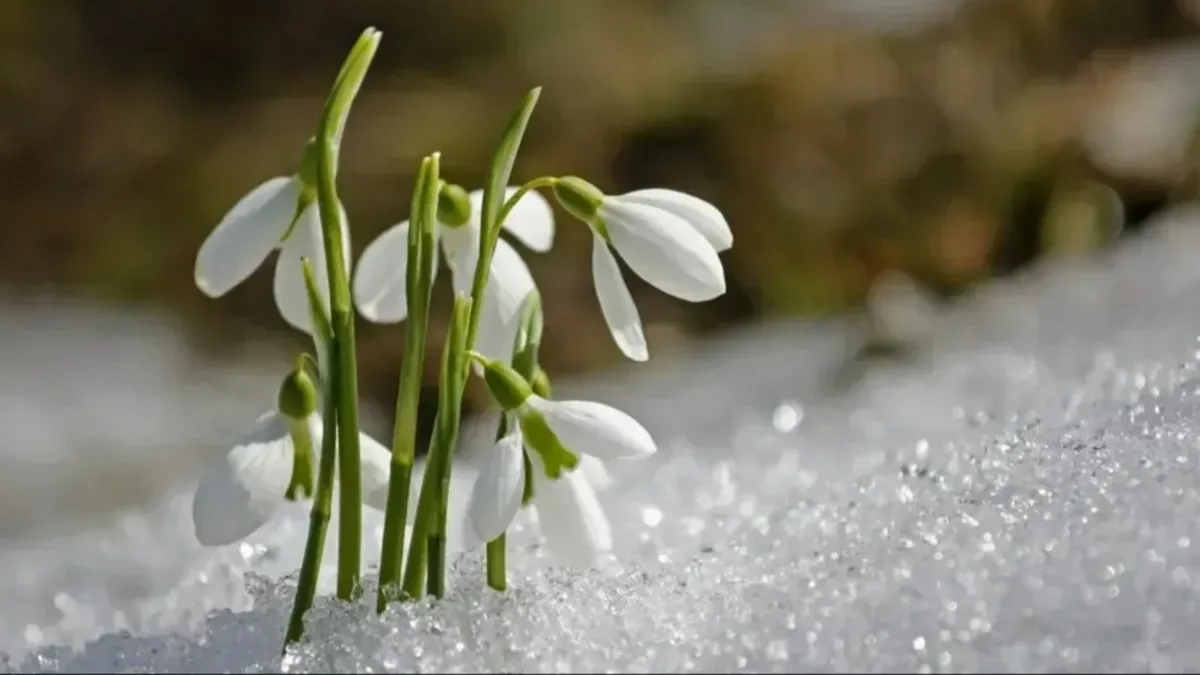CEMRE DÜŞME TARİHLERİ 2026 | Havaya, suya, toprağa... İlk cemre ne zaman düşecek?