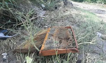 400 kovan arı sele kapıldı! Zarar 1 milyon lira