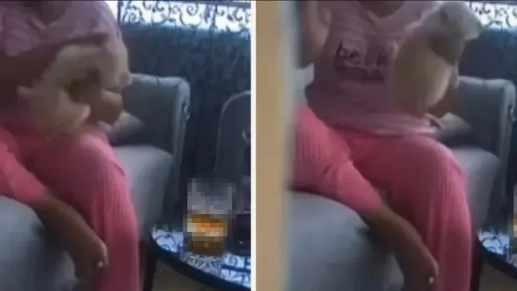 Eski sevgili görüntüleri izlediğinde şoka girdi: 4 köpeğe kan donduran işkence!