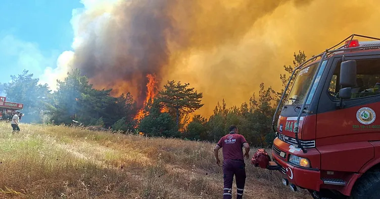 Sakarya Taraklı’da orman yangını! 2 mahalle tahliye edildi: Arazöz alevlere teslim oldu!