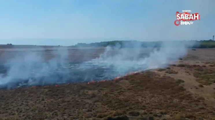 Sinop’ta makilik alanda yangın | Video