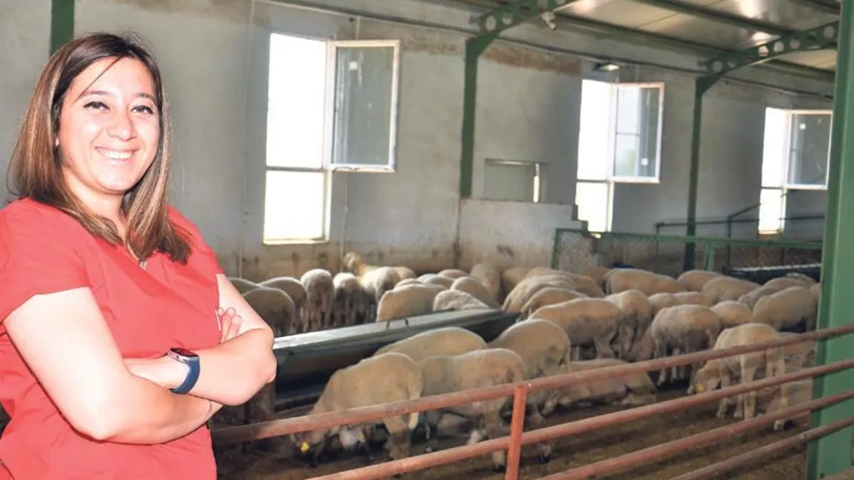 Destekle çiftlik kurdu 1000 koyuna ulaştı Destekle çiftlik kurdu 1000 koyuna ulaştı