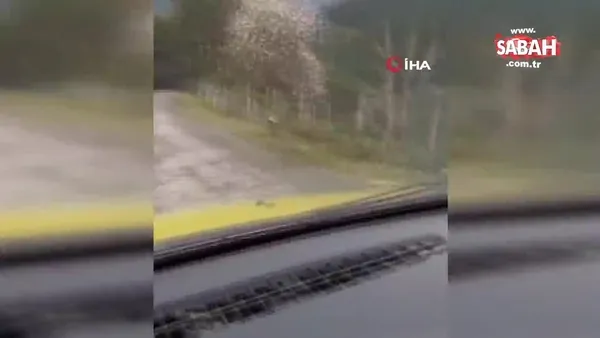 bartin da yola cikan karaca kamerada video