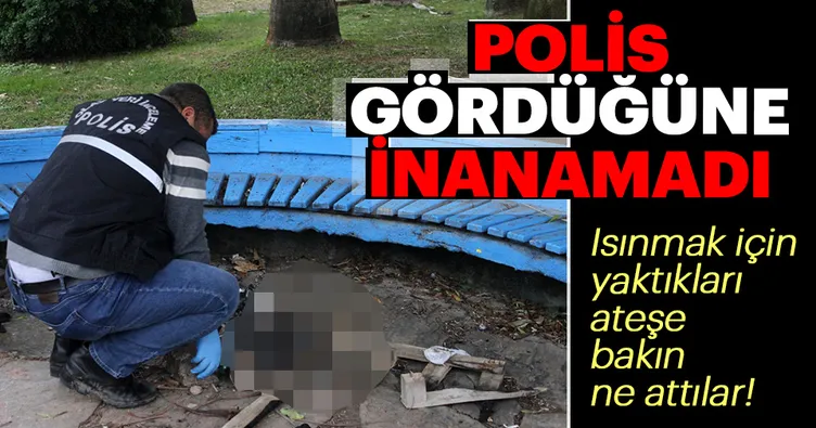 Yavru kediyi yakarak öldürdüler