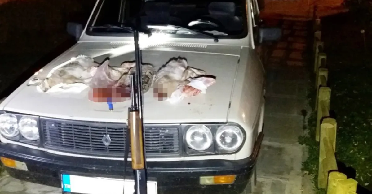 otomobil fariyla tavsan avina ceza sok