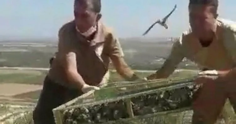 Saka kuşlarını Suriye’ye kaçırırken yakalandı