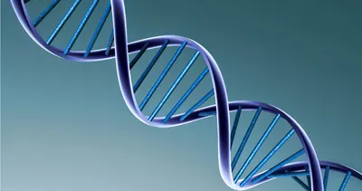 Genetik olan hastalıklar nelerdir?