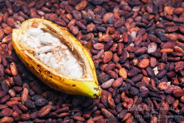 Milyonlarca insan bilmeden bu besini yiyor! Meğer içinde bir hazine saklıymış