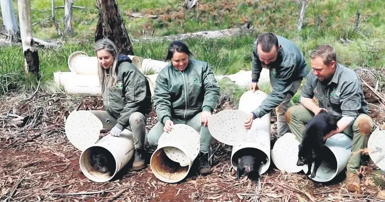 3 bin yıl sonra yeniden