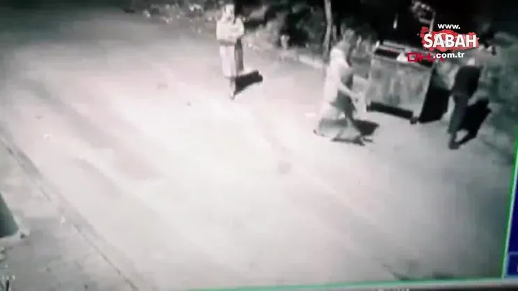 Mersin'de tepki çeken vahşet! Yavru kedileri poşete koyup çöpe attılar | Video