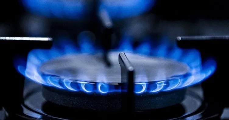 Türkiye’de sisteme giren doğal gaz oranı belli oldu