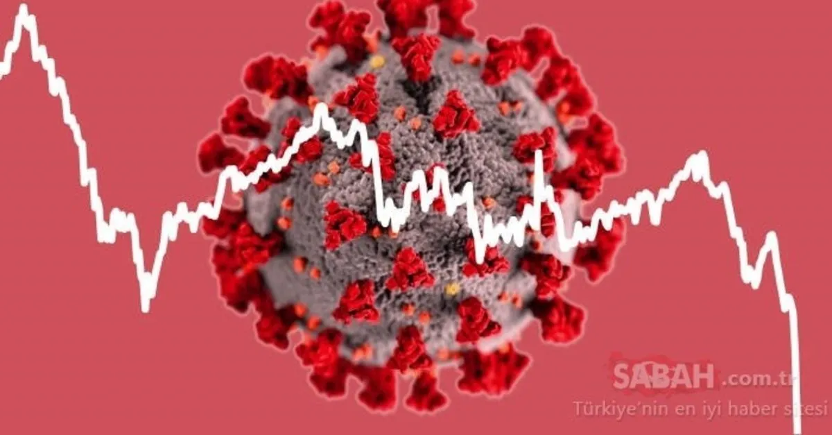 pandemi nedir neden ilan edilir dso tarafindan pandemi ilan edilen salgin hastaliklar nelerdir saglik haberleri