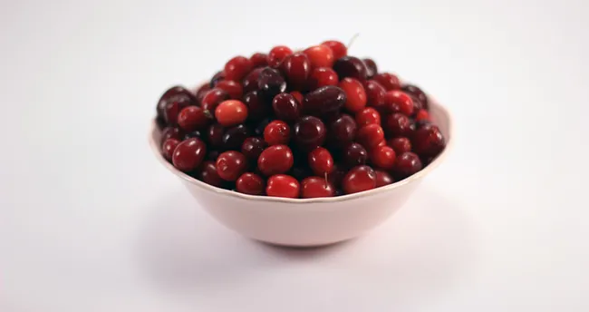 Kızılcık Faydaları Nelerdir? Kızılcık Hangi Hastalıklara ve Neye İyi Gelir, Ne İşe Yarar ve Yararları Neler?