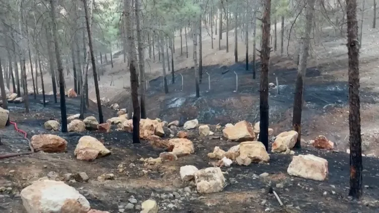 Yer Adıyaman: Ormanda çıkan yangın paniğe sebep oldu