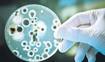 Avrupa dahil 10 ülkede daha görüldü dirençli bakteri alarmı