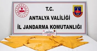 Antalya’da dev operasyon: Çok sayıda uyuşturucu ele geçirildi!