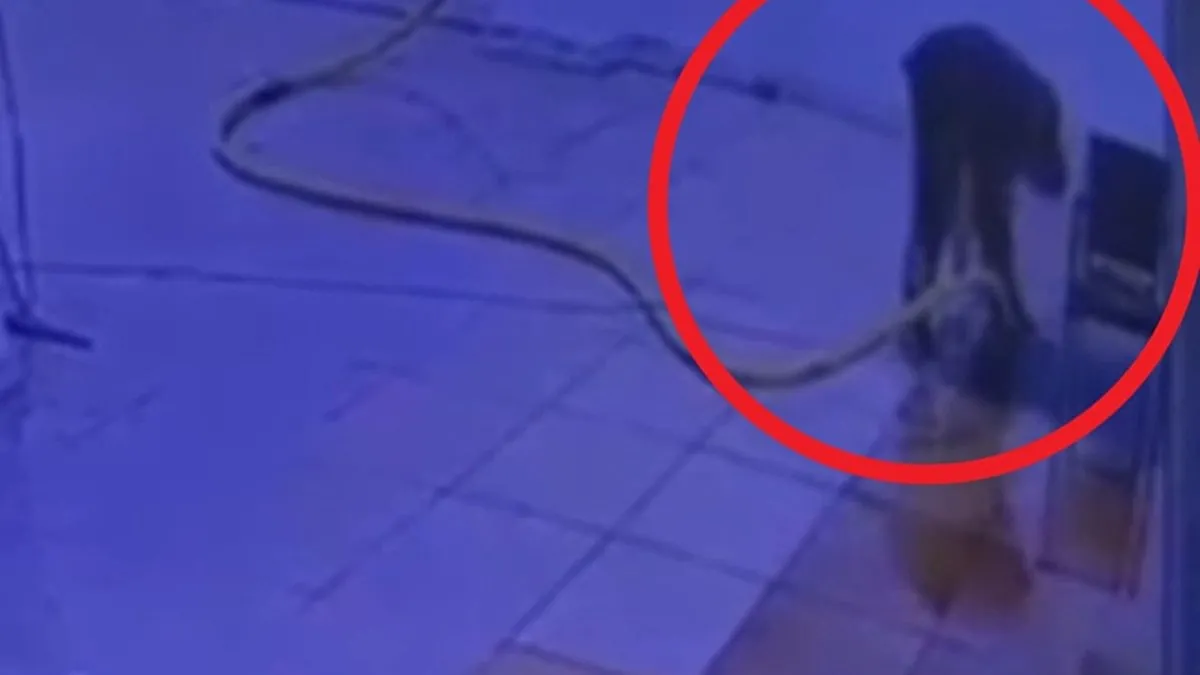 Akıma kapılarak can vermişti: Dehşet anlarının görüntüleri ortaya çıktı!