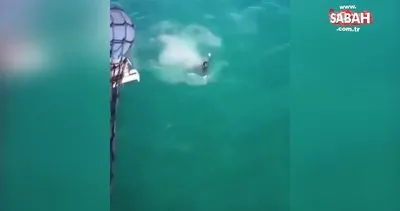 Denize atlayan genç, öyle bir tehlike atlattı ki!