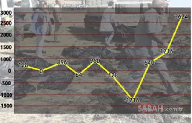Etiyopya uçağı 925 kilometre hızla yere çakılmış