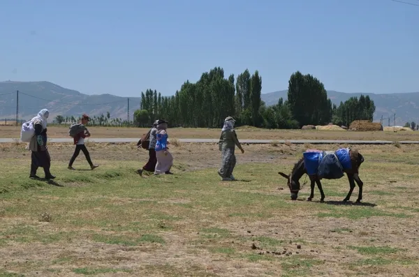 berivanlar-sut-sagmak-icin-her-gun-kilometrelerce-yuruyor-1659188154178.jpg