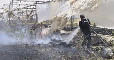 Nusaybin’de örtü yangını! 50 ton saman kurtarıldı! Ağaçlar zarar gördü #mardin